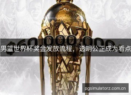 男篮世界杯奖金发放流程，透明公正成为看点